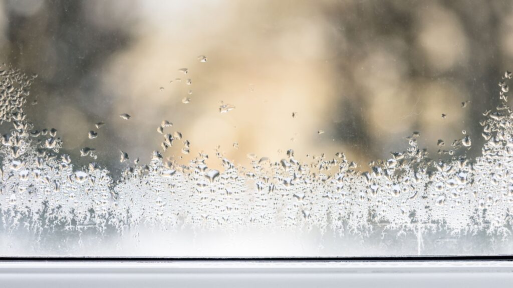 Condensation on windows that need a replacement.