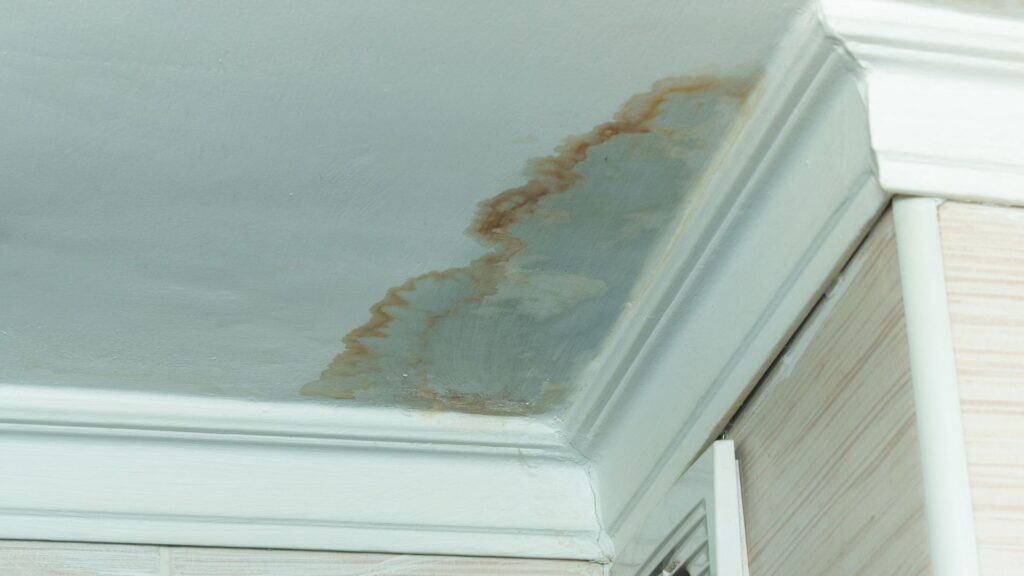 Signs of a Leaky Roof During Winter and How to Spot Them